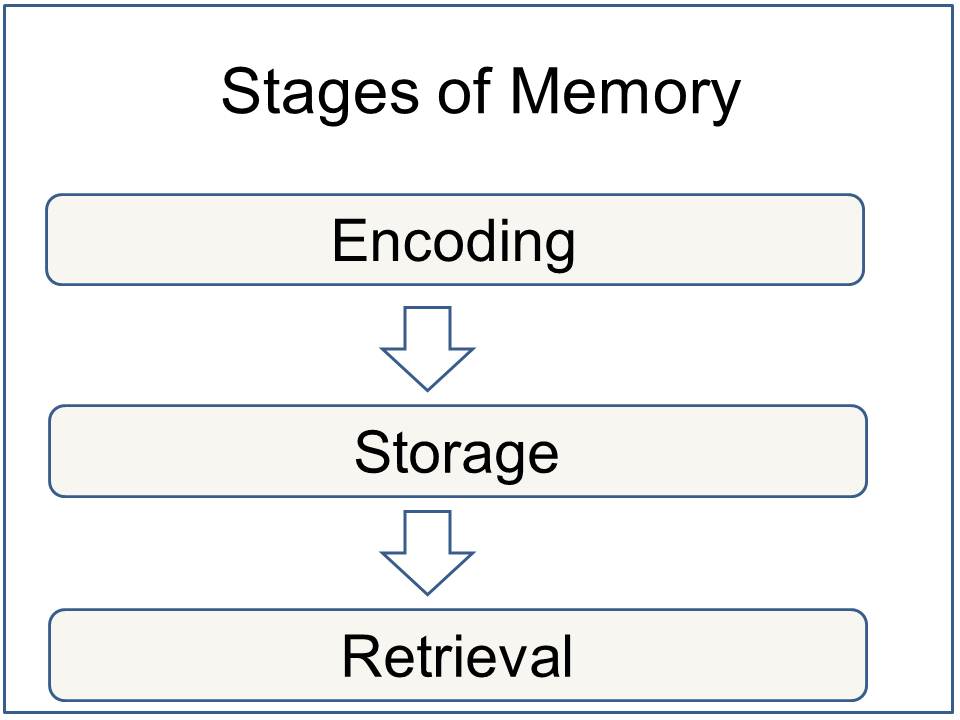 memory encoding storage and